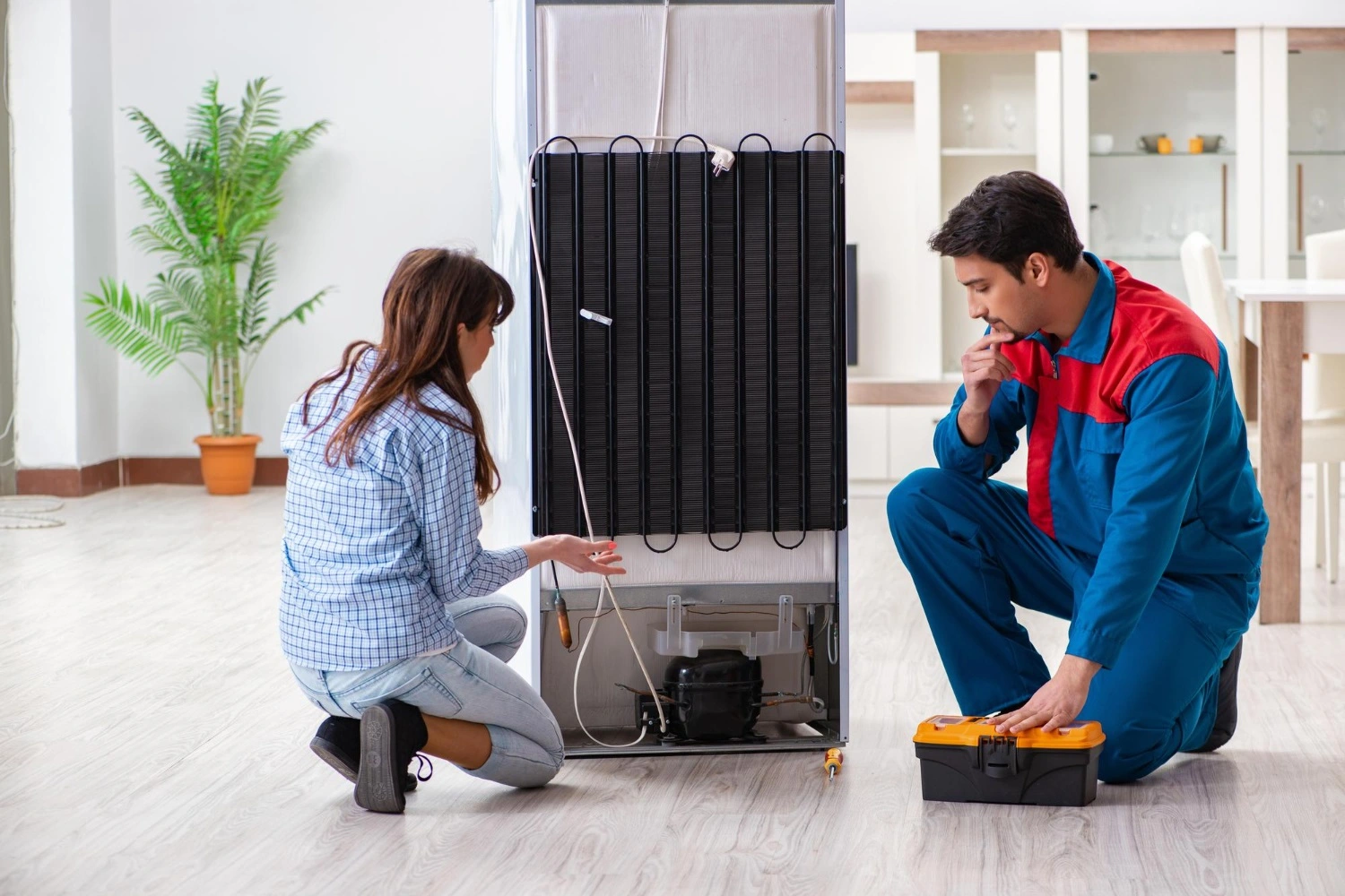 LG Refrigerator repair services in la